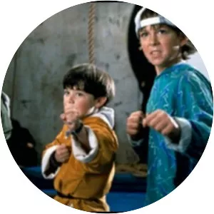 3 Ninjas - 1992 ‧ Family/Comedy ‧ 1h 24m