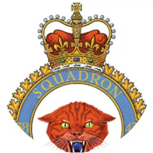 438 Tactical Helicopter Squadron