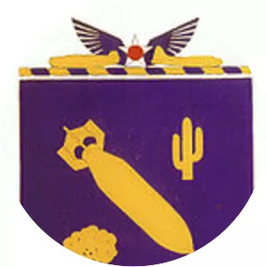 487th Air Expeditionary Wing - Army unit