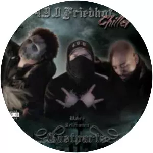 4. 9. 0 Friedhof Chiller - Musical group