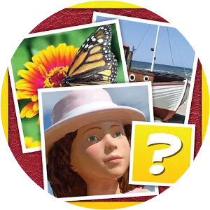 4 Pics 1 Odd: More Words - Video game