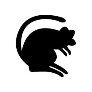 4th Infantry Brigade and Headquarters North East