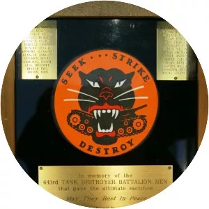 643rd Tank Destroyer Battalion