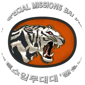 707th Special Mission Group - Army unit