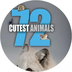 72 Cutest Animals - TV series