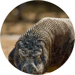 72 Dangerous Animals: Asia