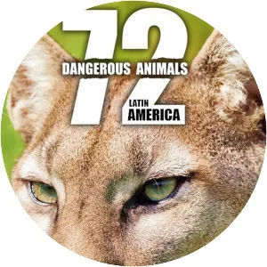 72 Dangerous Animals: Latin America