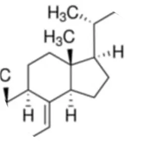 7-Dehydrocholesterol - Chemical compound