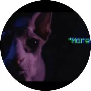 916Frosty - Musical artist