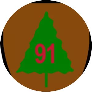 91st Division