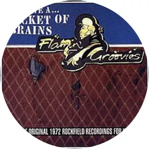 A Bucket of Brains - Studio album by Flamin' Groovies