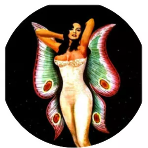 A Butterfly in the Night