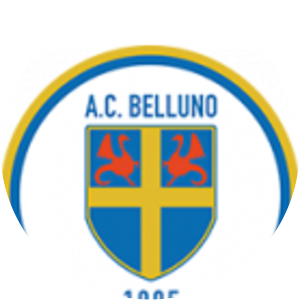 A.C. Belluno 1905