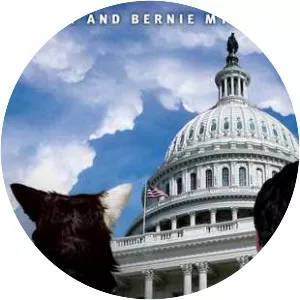 A Chet and Bernie mystery