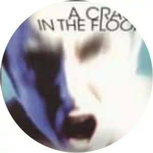 A Crack in the Floor