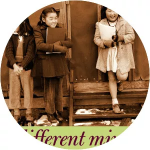 A Different Mirror for Young People: A . . .