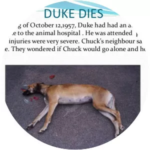A Dog Named Duke