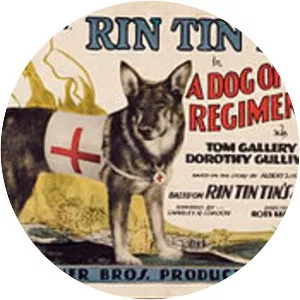 A Dog of the Regiment