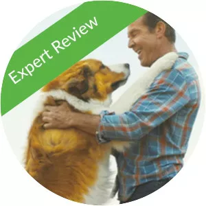 A Dog's Journey: Review - TV program