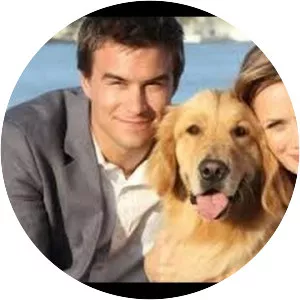 A Golden Christmas 3