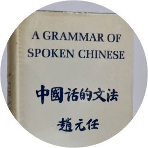 A grammar of spoken Chinese