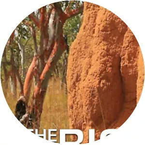 A Grande Seca - TV program