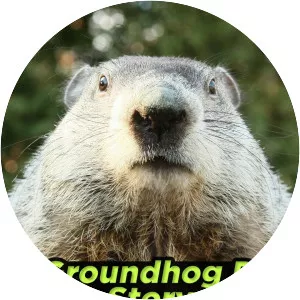 A Groundhog Day Story - TV program