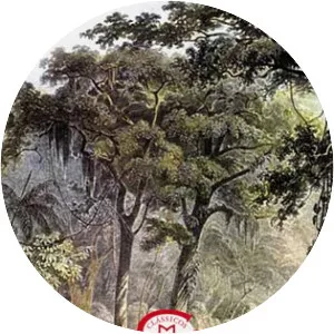 A guerra dos mascates