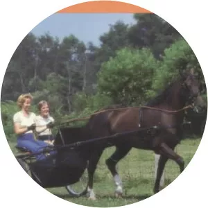 A guide to driving horses Sallie Walrond