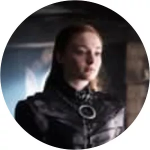 A Knight of the Seven Kingdoms