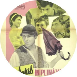 A Midsummer Day's Smile (Un surîs în plină vară)