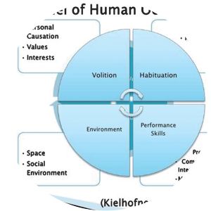 A model of human occupation
