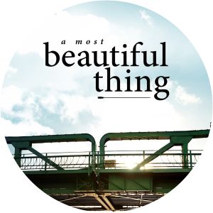 A Most Beautiful Thing