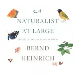 A Naturalist at Large