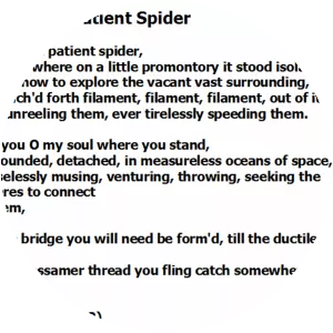 A Noiseless Patient Spider - Poem by Walt Whitman