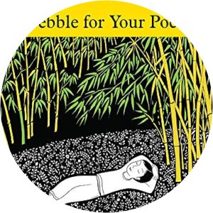 A Pebble for Your Pocket