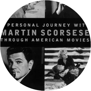 A Personal Journey with Martin Scorsese Through American Movies - 1995 ‧ Documentary ‧ 3h 45m