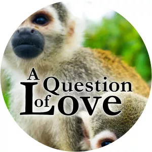 A Question of Love