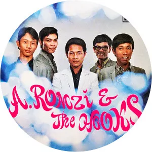 A. Romzi & The Hooks - Musical artist