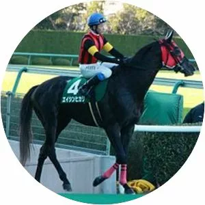 A Shin Hikari