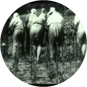 A Sixth Part of the World