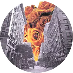 A Sol Mechanic - Musical artist