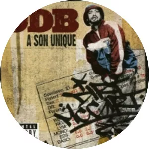 A Son Unique - Studio album by Ol' Dirty Bastard