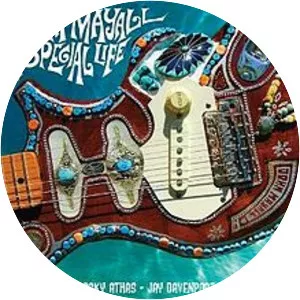 A Special Life - Studio album by John Mayall