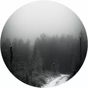 A Swarm of the Sun - Musical group