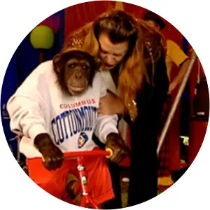 A Tale of Three ChimpsSince 2001