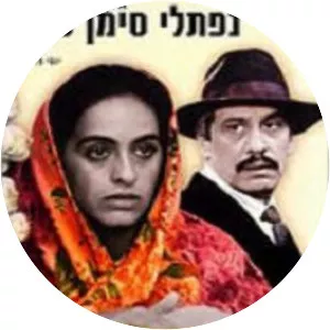 A Thousand and One Wives