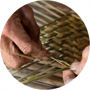 A Treasured Creation