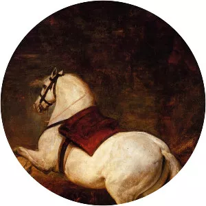 A White Horse