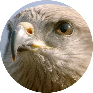 A Wild Year On EarthSince 2020